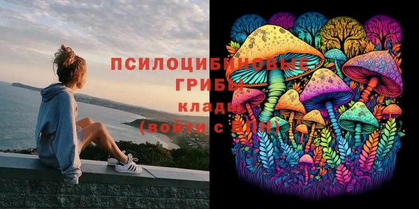гидропоника Володарск