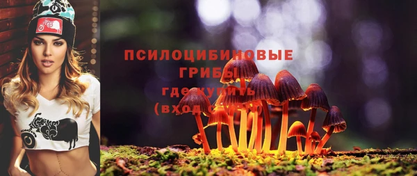 гидра Волосово