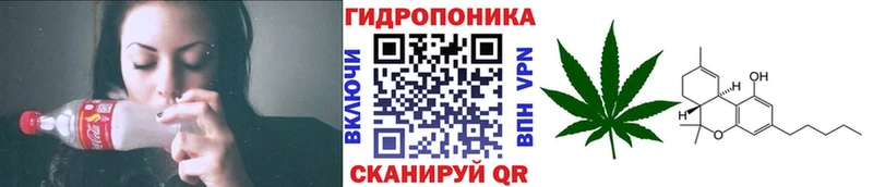 Бошки Шишки сатива  Нахабино 